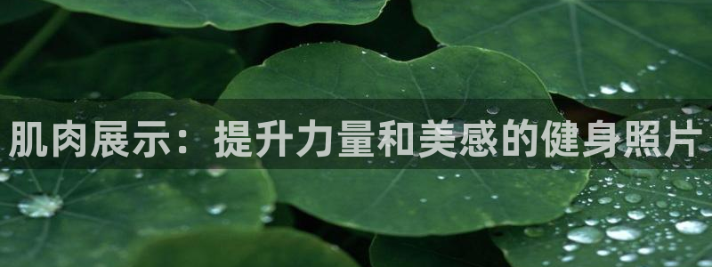 意昂2平台