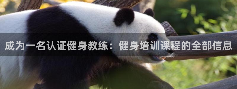 意昂2官方平台