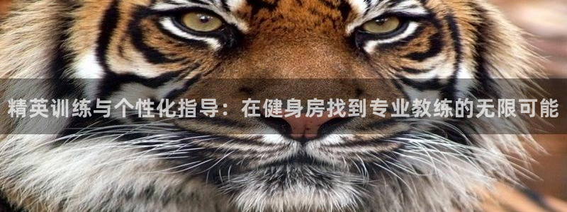 意昂2代理