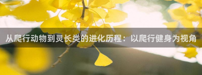 意昂2官方网站
